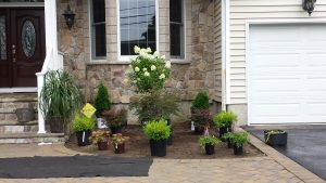 Landscape Planning