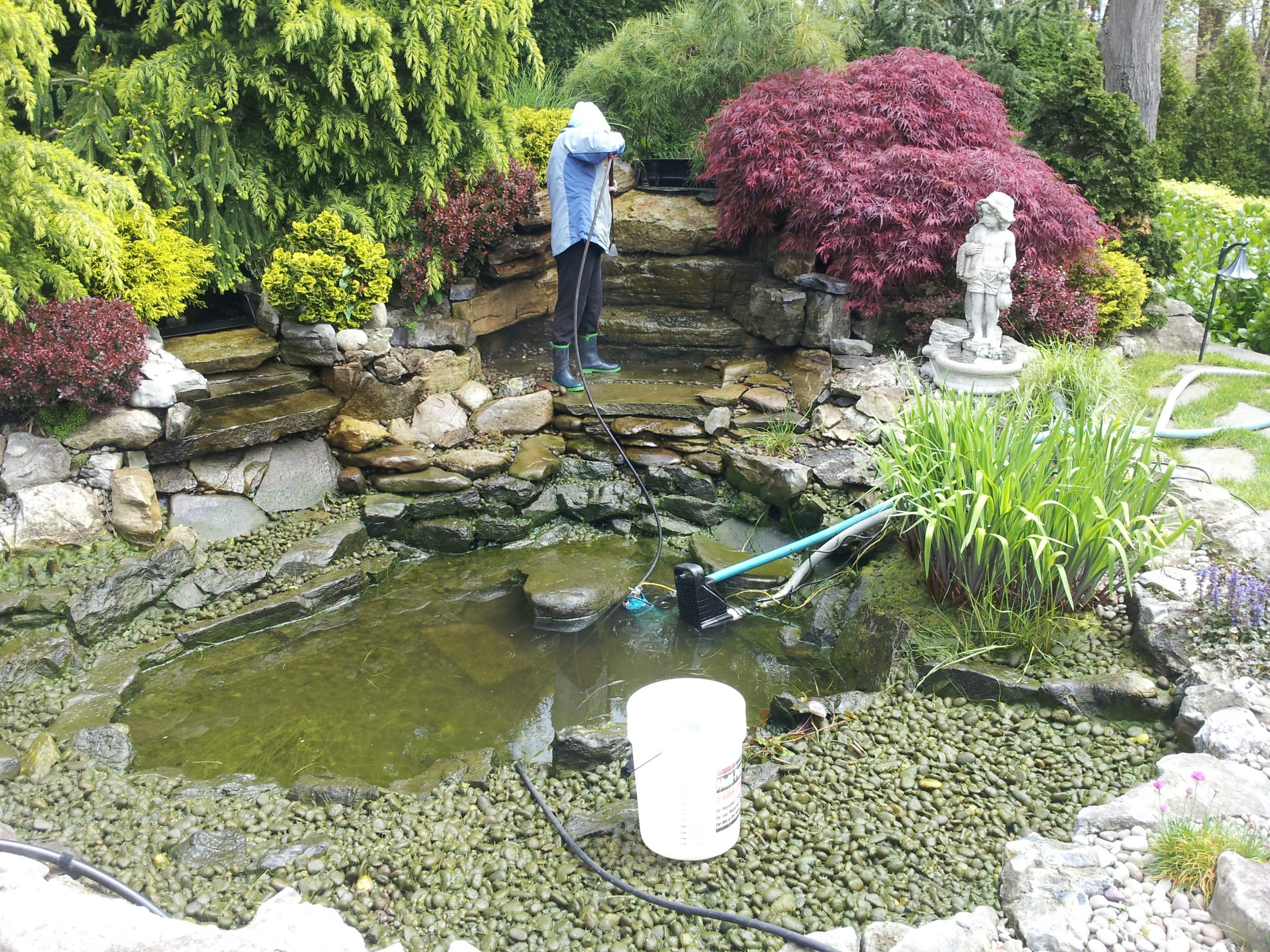 Pond Maintenance Li