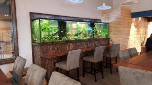 500 gallon Freshwater Fish Tank