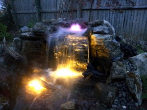 LED Lighting Pond