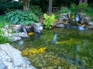 LED Pond & Waterfall Lighting