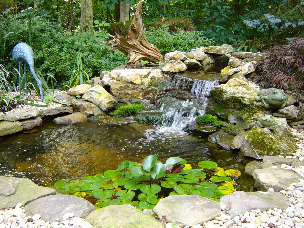 Small Pond & Waterfall