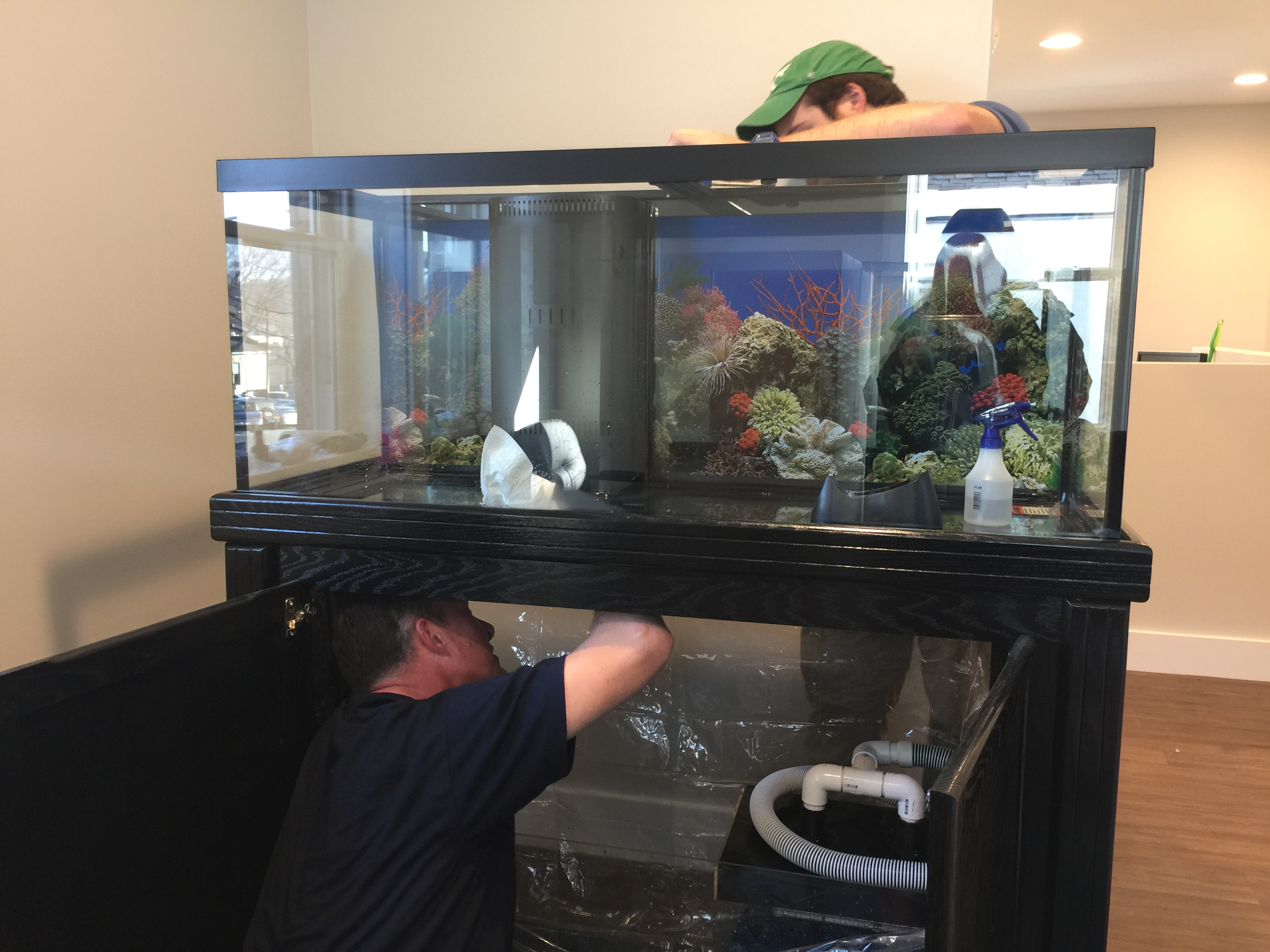 75 gallon saltwater tank installation