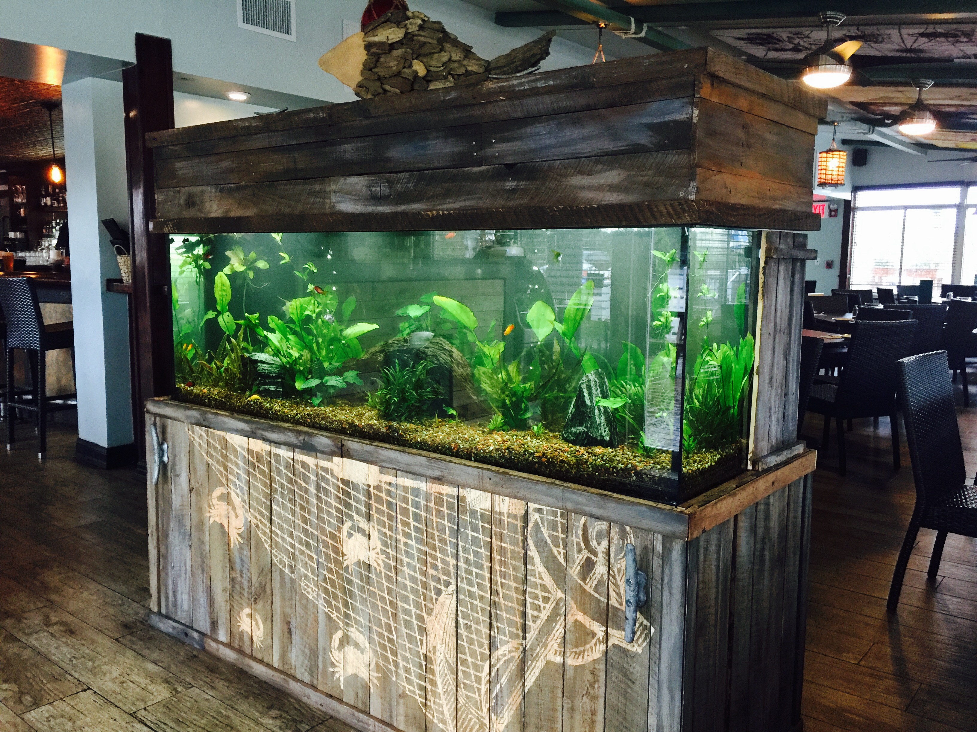 180 gallon freshwater fish tank
