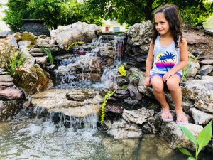 Pond Waterfall
