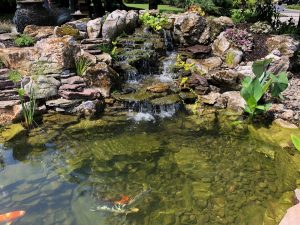 Pond Waterfall