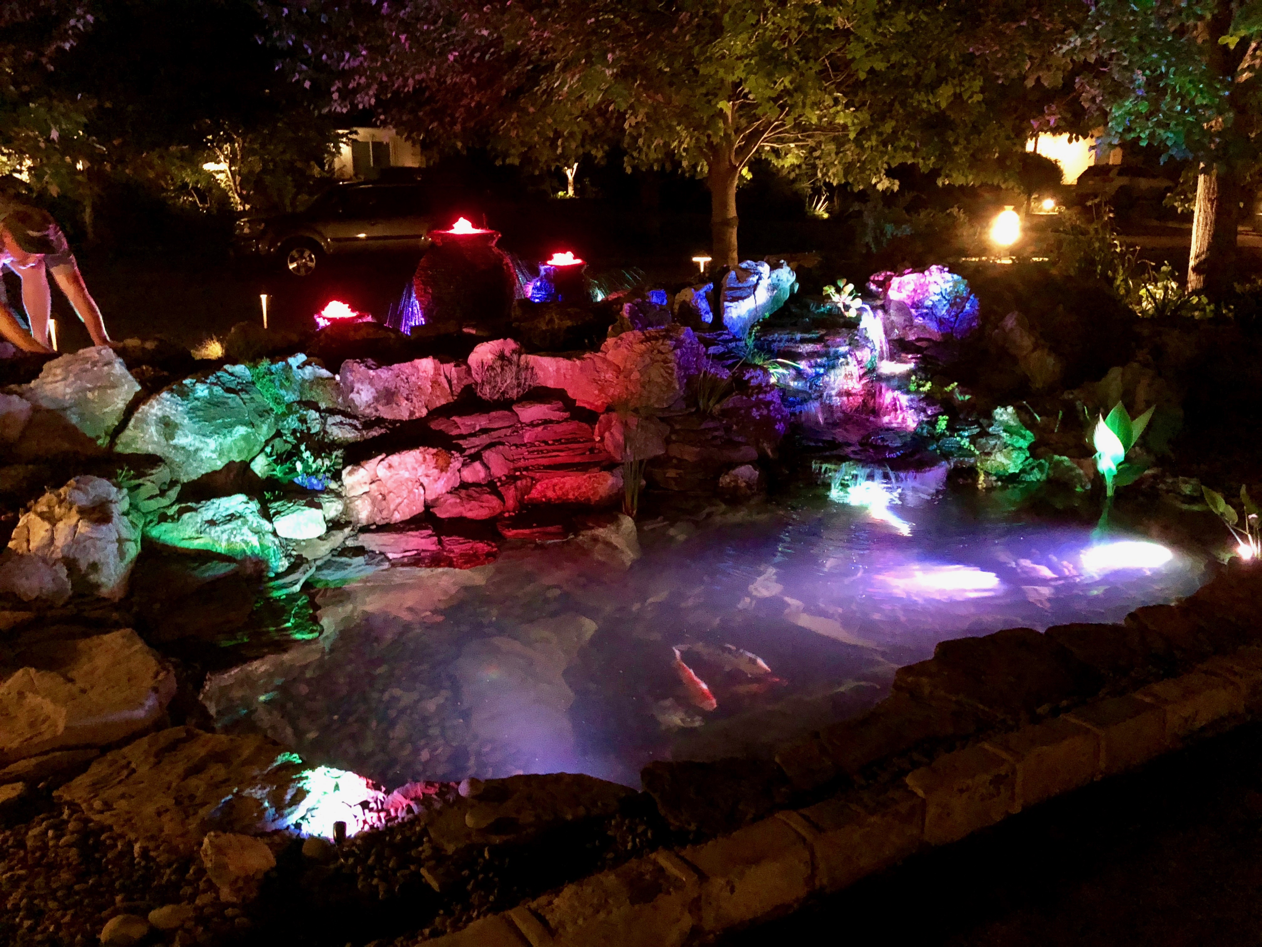 Led Pond Garden Lighting The Fish Guy Maintenance Led Pond Garden Lighting The Fish Guy Maintenance