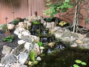Waterfall into Pond Re-Build