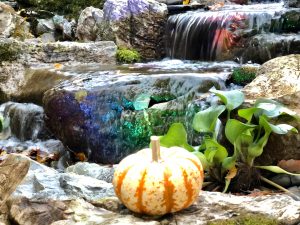 Pondless Waterfall Pondless Waterfall